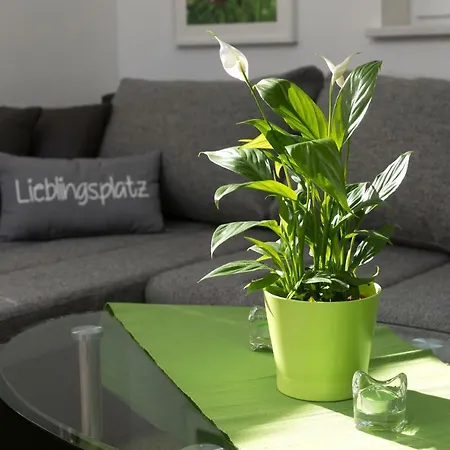 Naturpur 4613 * Baldramsdorf