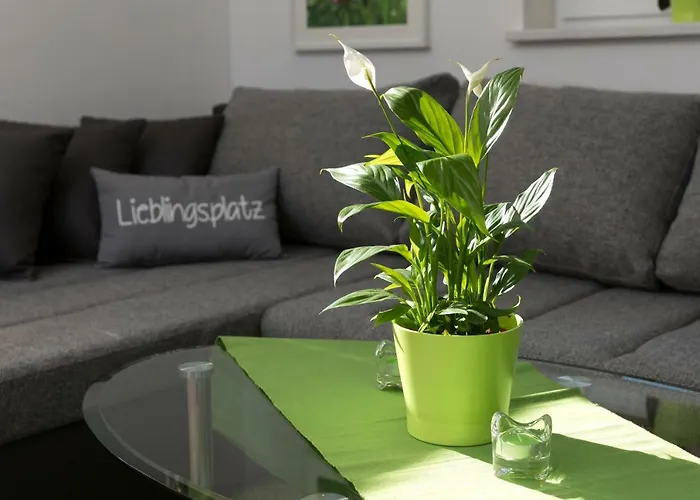 Naturpur 4613 * Baldramsdorf